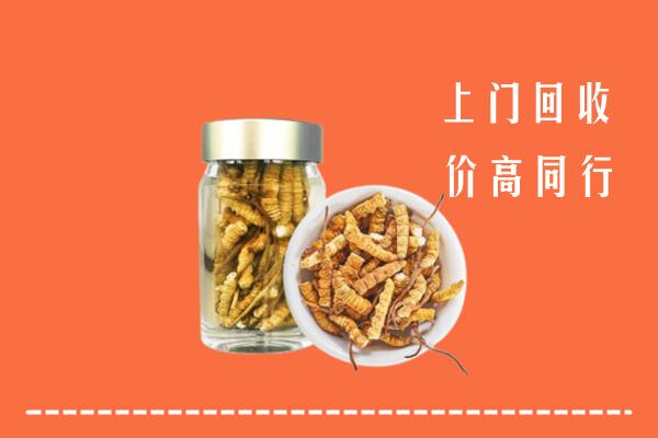 雁山区回收冬虫夏草